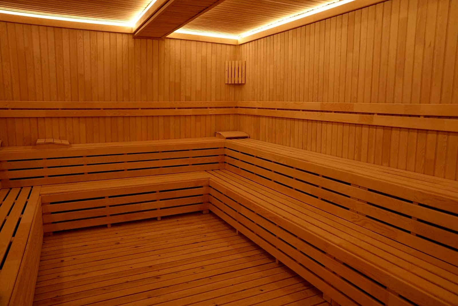 sauna1